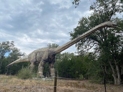 The Dinosaur Park photo 3