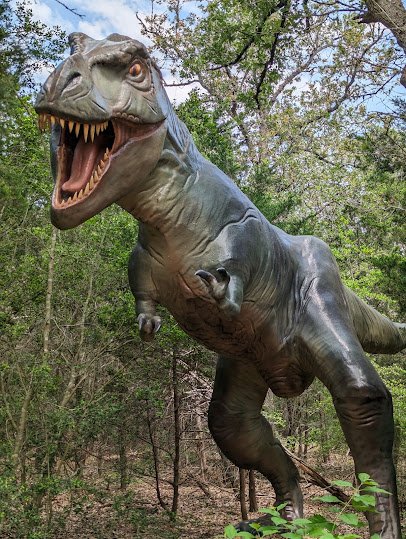 The Dinosaur Park photo 4