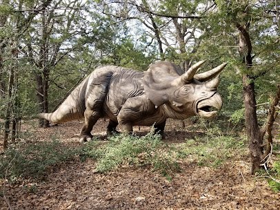 The Dinosaur Park photo 5