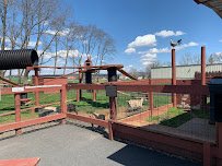 Pygmy Goat Petting Zoo photo 5