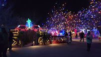 Denver Zoo Lights photo 2