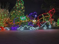 Denver Zoo Lights photo 4