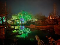 Denver Zoo Lights photo 5
