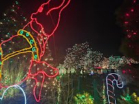 Denver Zoo Lights photo 6