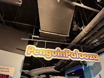 Penguin Palooza photo 6