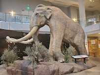 Museum of Idaho photo 4