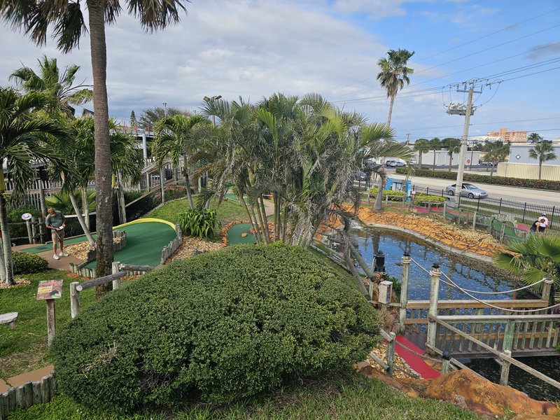 Golf N Gator photo 5