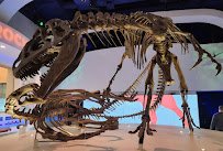 Fort Worth Museum of Science and History photo 3