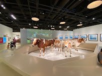 Fort Worth Museum of Science and History photo 6