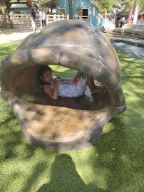 Lacerte Family Children's Zoo photo 3