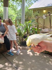 Lacerte Family Children's Zoo photo 6