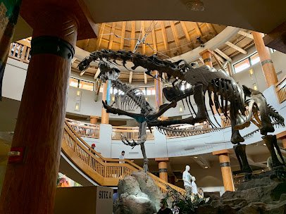 Jurassic Park Discovery Center photo 3