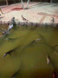 Congo River Golf photo 4