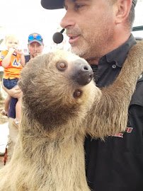 Animal EDventure Park & Safari photo 3