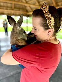 Animal EDventure Park & Safari photo 4