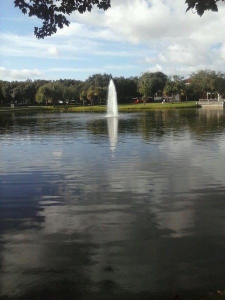 The REC photo 6