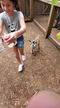 Summerfield Zoo photo 2