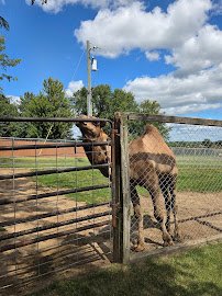 Summerfield Zoo photo 6