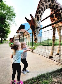 Wild Animal Safari - Springfield/Strafford, Missouri