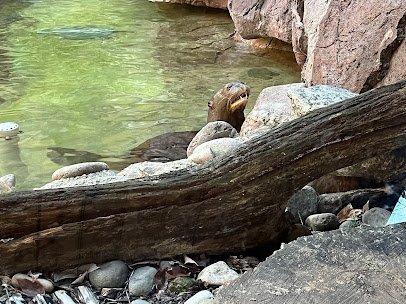Water is Life photo 3