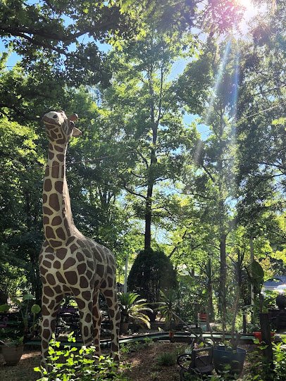 Maggie's Jungle Golf photo 5