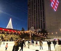 The Ice Rink at Grand Sierra Resort photo 3
