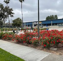 South Bay Inline Hockey League photo 4