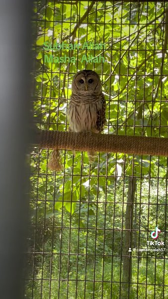 Crabtree Nature Center photo 2