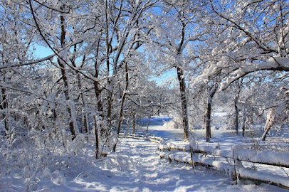 Crabtree Nature Center photo 6