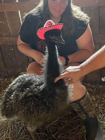 Green Roof Acres LLC, mobile petting zoo, parties and more photo 5