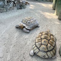 Florida Keys Aquarium Encounters photo 4