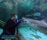 Florida Keys Aquarium Encounters photo 5
