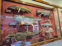 Tanana Valley Fisheries Center