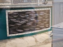 Tanana Valley Fisheries Center photo 2