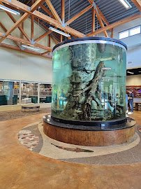 Tanana Valley Fisheries Center photo 5