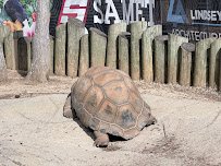 Greensboro Science Center photo 4