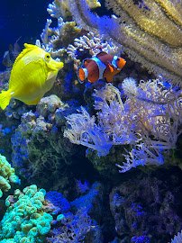 Greensboro Science Center photo 6