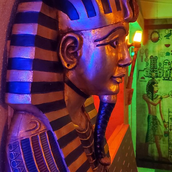 Premier Escape Adventures photo 6