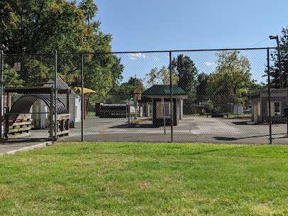 Knights Field Sprayground photo 3