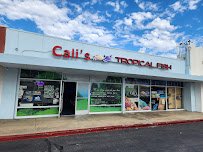 Cali's Tropical 🐠