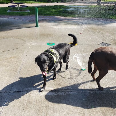 Memorial Park Splash Pad photo 5
