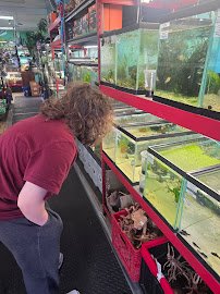 The Chlorophyll Corner - Mesa, AZ photo 4