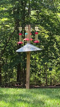 Wade Bourne Nature Center photo 4