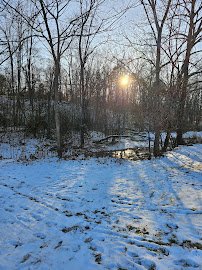 Wade Bourne Nature Center photo 5
