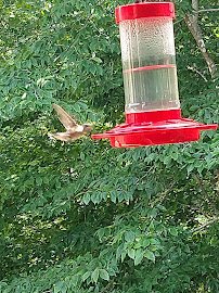 Wade Bourne Nature Center photo 6