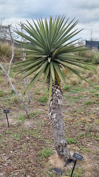 South Texas EcoTourism Center