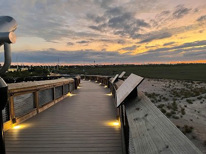 South Texas EcoTourism Center photo 3
