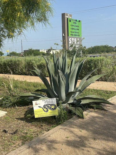 South Texas EcoTourism Center photo 5