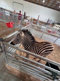 Rose Valley Animal Park