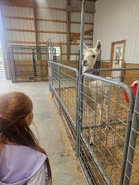 Rose Valley Animal Park photo 3